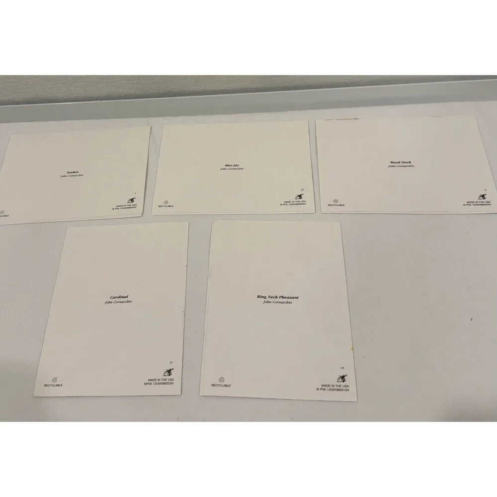 Vintage Bird Note Cards Set John Cornacchio Art Set of 10 with envelopes